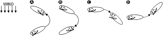Windsurf Maneuvers
